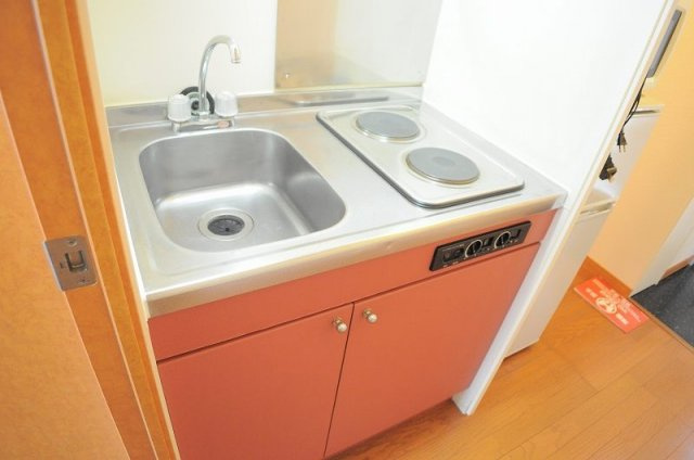 レオパレスシャトレーンⅡのエントランス