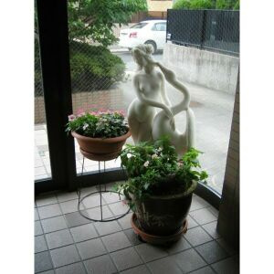 【外観】 | エトワール青山