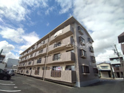 胡蝶羽根井の画像