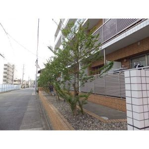 【外観】 | パセオ　吹上