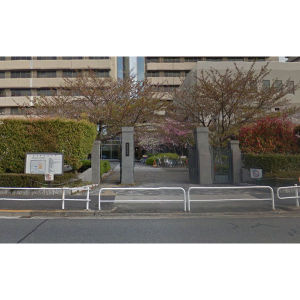 【周辺】 | ティンガーラ石川橋