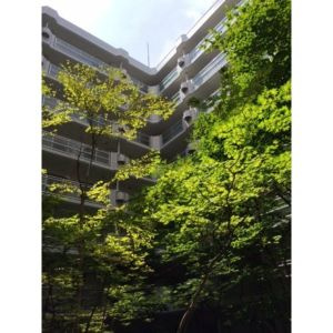 【外観】 | パルテノンリンデン