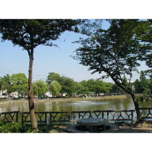 【周辺】 | コーポ美芳