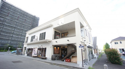 【展望】 | ファラオ