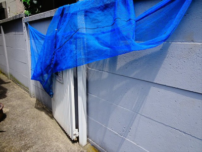 【その他】 | カーサフェリス