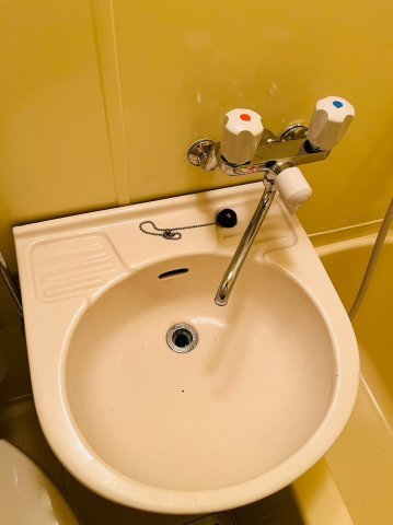 仲介手数料0円サングリーン水切の洗面所