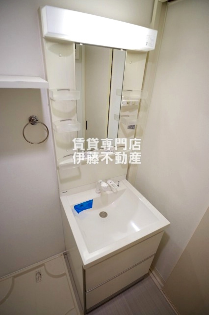 グリーンリーフ名城清水の独立洗面台