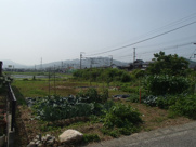 柳井市アルク裏の画像