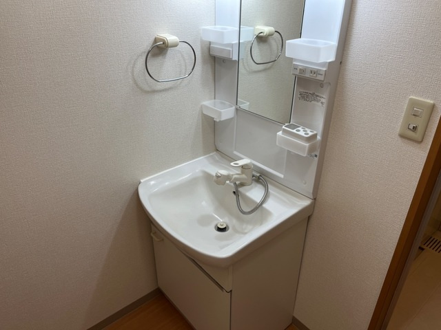コンフォース北山の洗面所