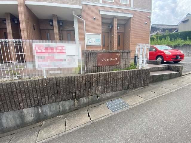 プリムローズのその他