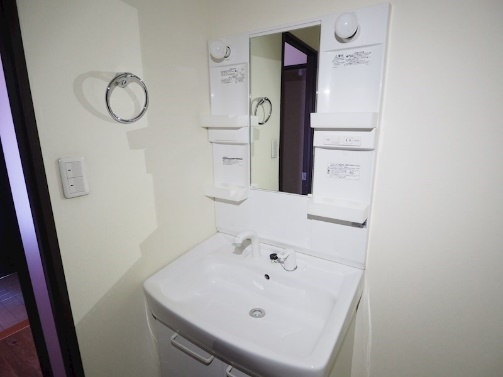 シャワー付きの独立洗面台