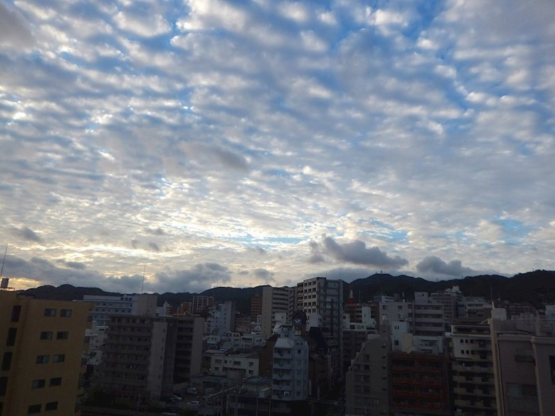 アシストみなと元町の展望