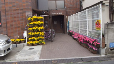【エントランス】 | アビタシオン桜台
