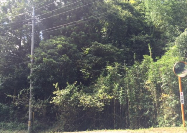 【外観】 | 田布施・波野