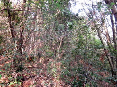 【外観】 | 平生・沼