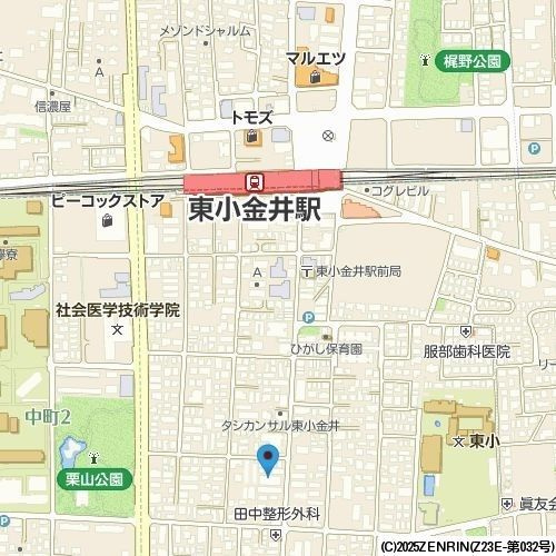 CITYSPIRE東小金井の地図