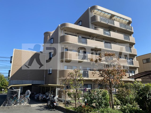 シャルマン・シェソワ