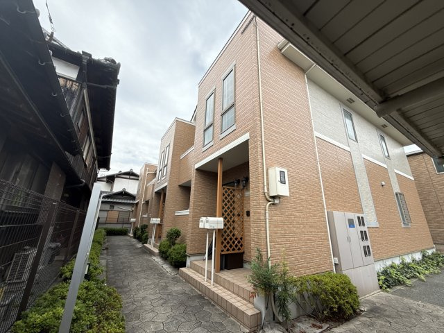 ポーチュラカの外観