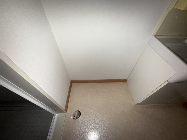 ポーチュラカのその他