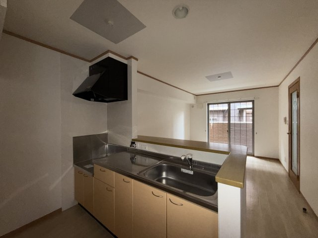 ポーチュラカのキッチン