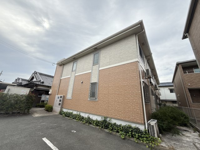 ポーチュラカの外観