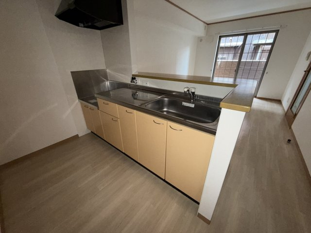 ポーチュラカのキッチン