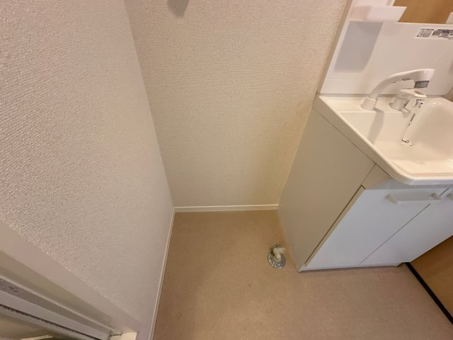 ブールドーグフランセのその他