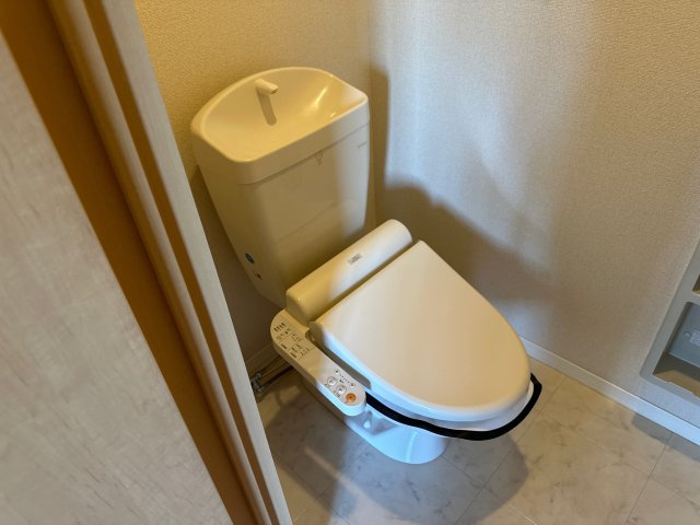 ブールドーグフランセのトイレ