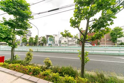 【展望】 | エストレリータ新宿落合