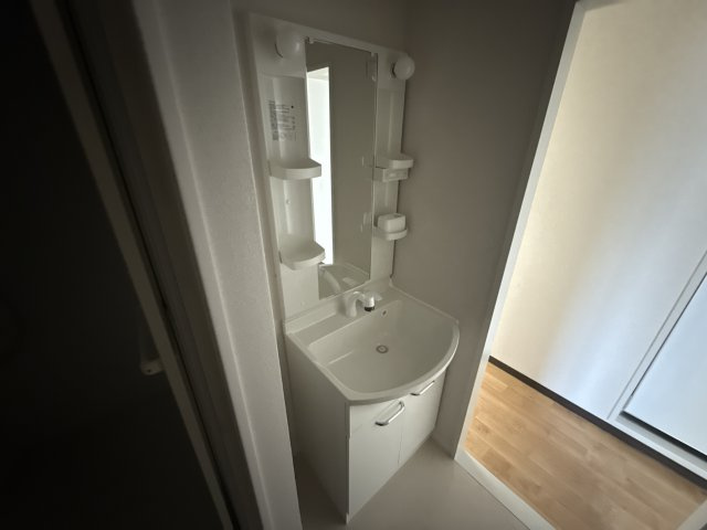 マンション大和の洗面所