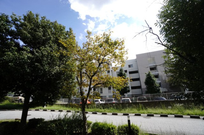 【展望】 | 【上質リノベ】A CITYヒルズアリーナIII番館 | 【四季を感じる】
四季の移ろい・爽やかな青空や風を感じられ
自然を愉しめるパノラマビュー。
毎日の暮らしに余裕を感じさせてくれる、
遮る物の無い開放的な眺望を是非、ご堪能ください。