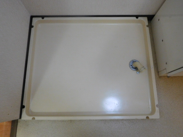 エバーグレースⅡの内装