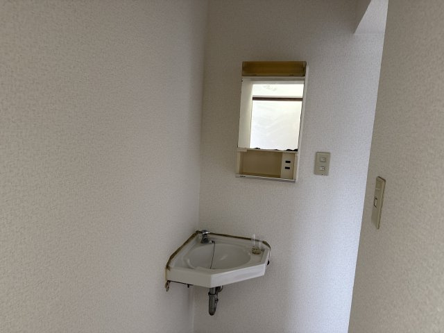 恵美酒ガーデンコートの洗面所