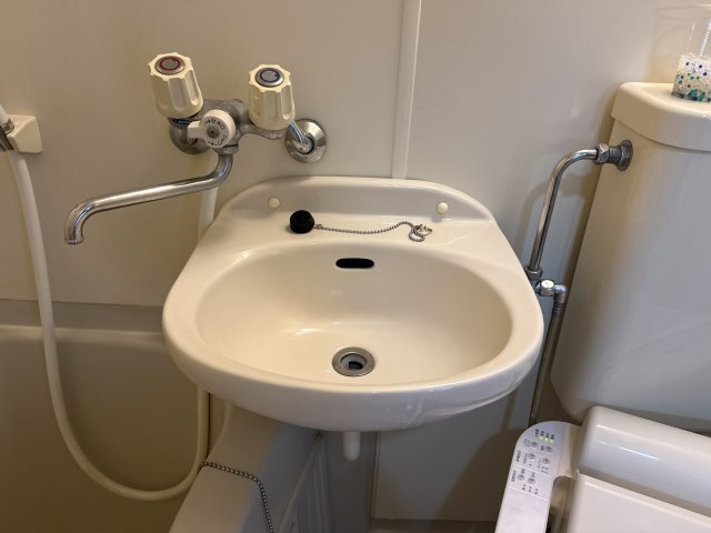 さくらコーポアビックスの洗面所
