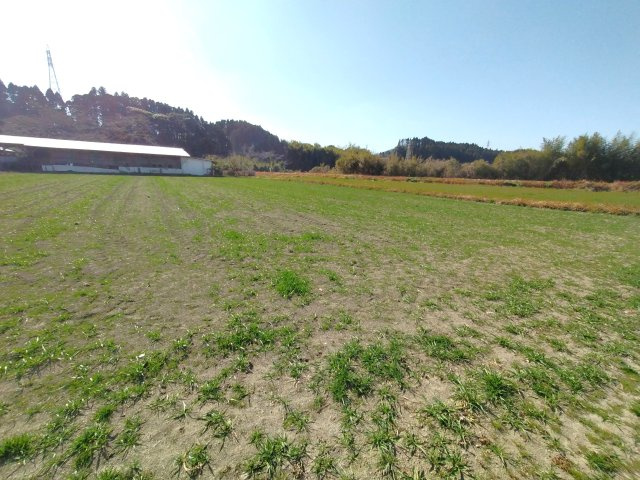 清武町今泉甲　売地のその他