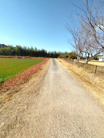 清武町今泉甲　売地のその他