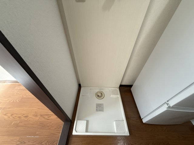 サンライズクイーンのその他