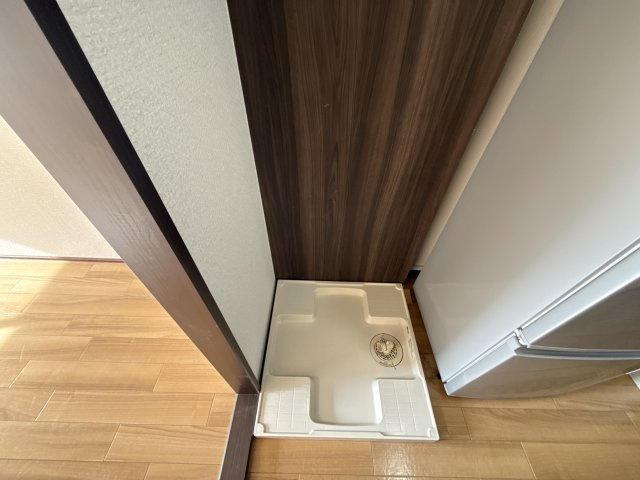 サンライズクイーンのその他