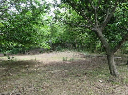 【外観】 | 大室高原別荘地　古家付売地