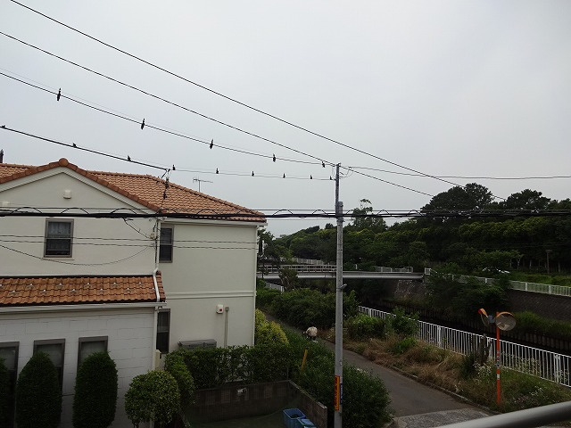鵠沼ベースDUSKの展望