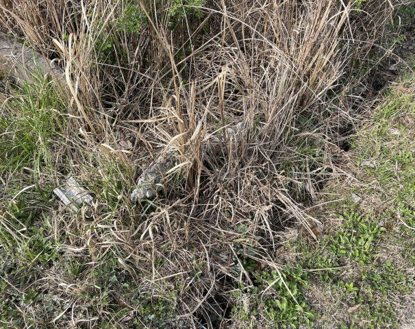 【周辺】 | 呉市押込6丁目　広々52坪！