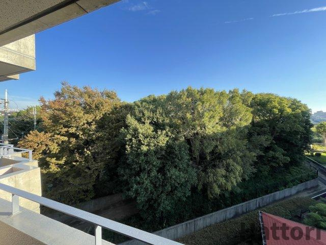 カンパーニュ北園田の展望