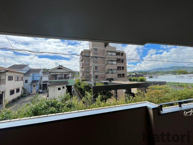 ソレアードうねのの展望