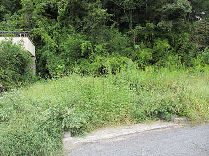 廿日市市物見東１丁目　土地