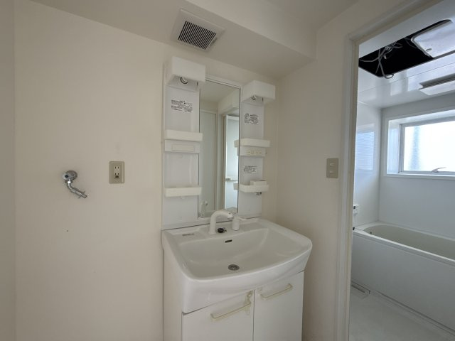 アイマンションの洗面所