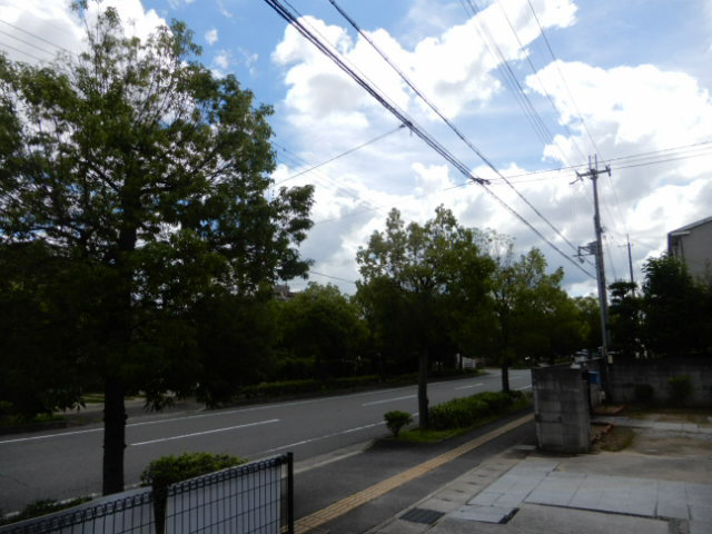 アドホックディアスの展望