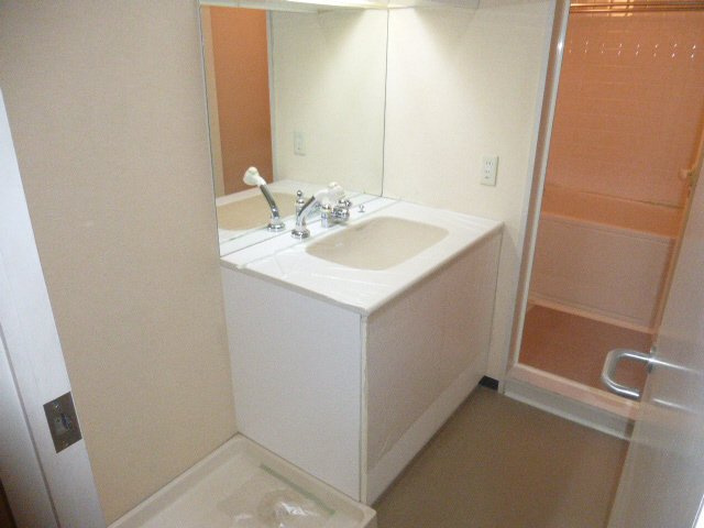 ブルーエスの洗面所