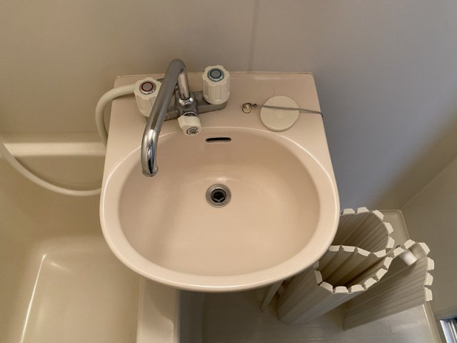 リッチハーベスト南棟の洗面所