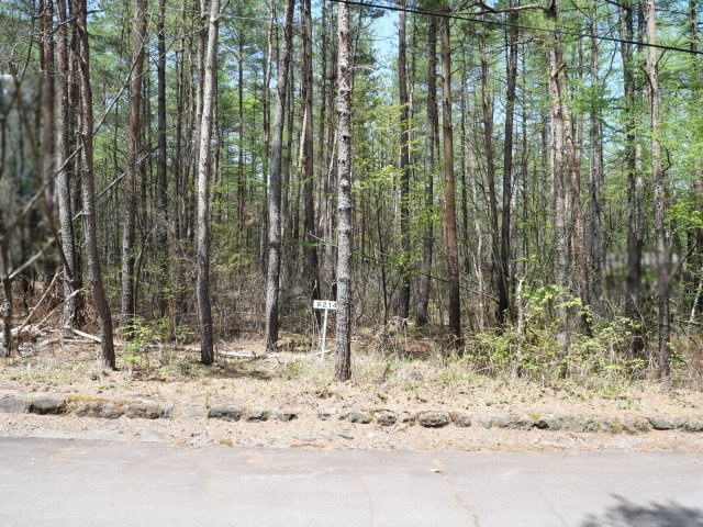 エンゼルフォレスト浅間高原②