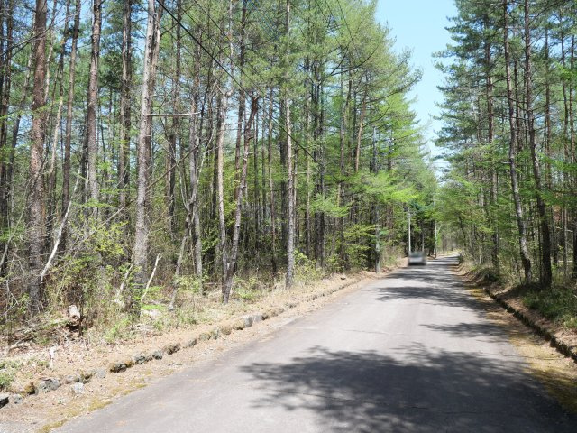 エンゼルフォレスト浅間高原②の前面道路含む現地写真